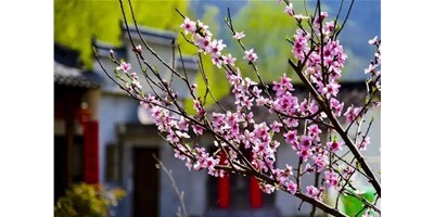 陽(yáng)春三月，臺(tái)群精機(jī)一大波展會(huì)即將來(lái)襲，您準(zhǔn)備好了嗎？