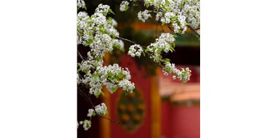 【展會(huì)資訊】臺(tái)群精機(jī)5月展會(huì)一覽，等您來(lái)參觀(guān)！
